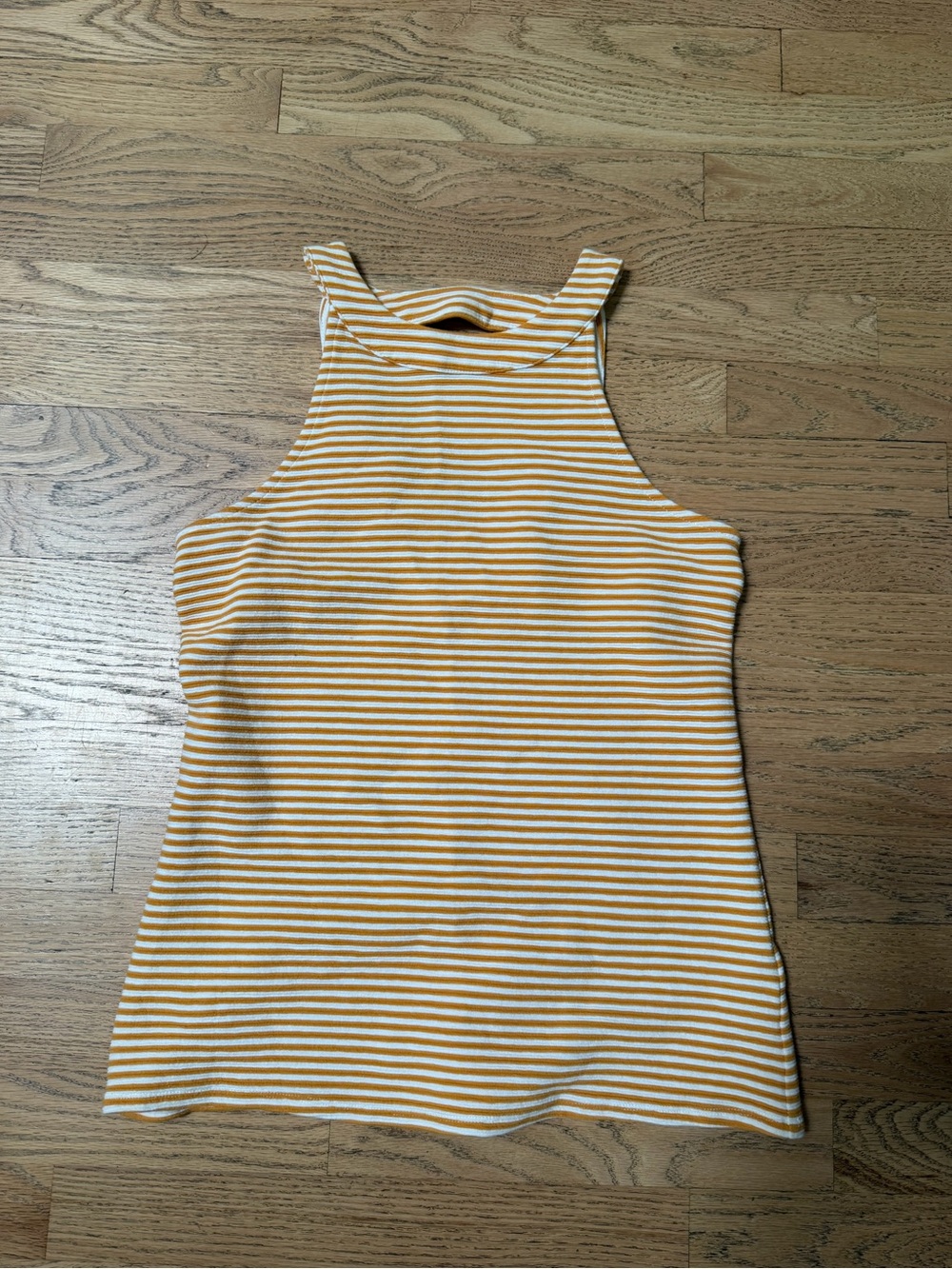 Anthropology Tank Top